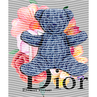 Brand Catalog-ZX 484